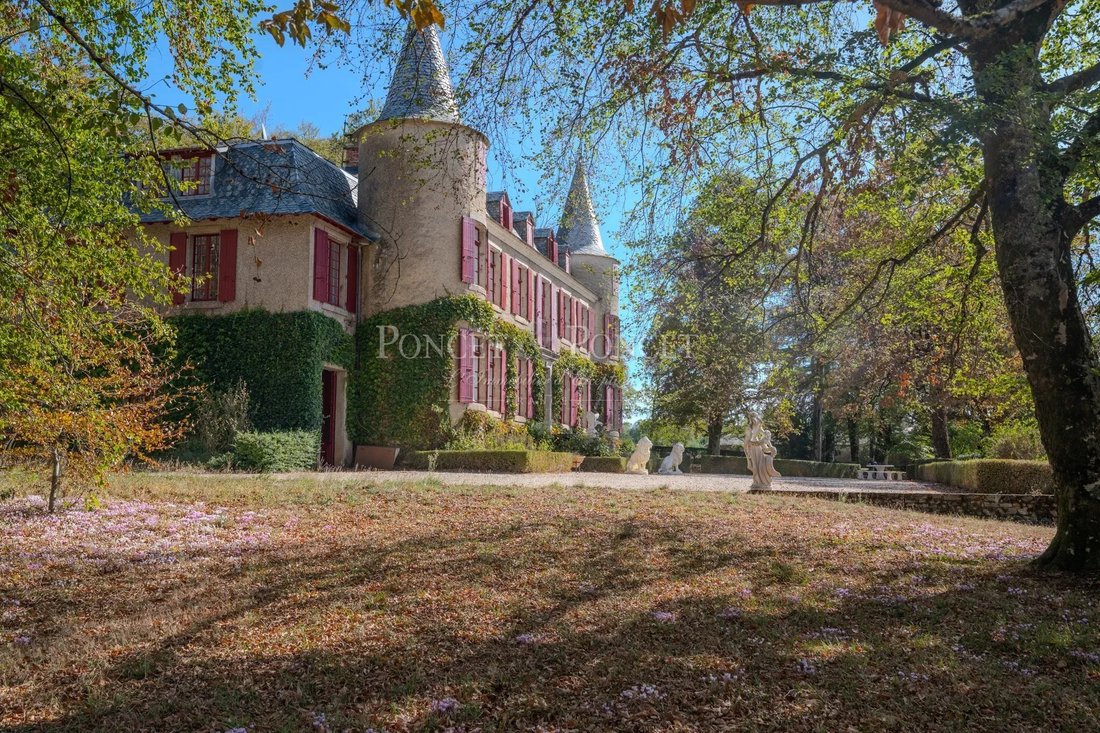 Chateau in Saint-Pierre-de-Trivisy, Occitania, France 4 - 18960908