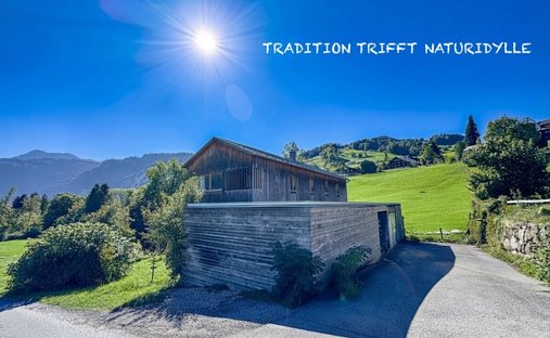 House in Schwarzenberg, Vorarlberg, Austria 1