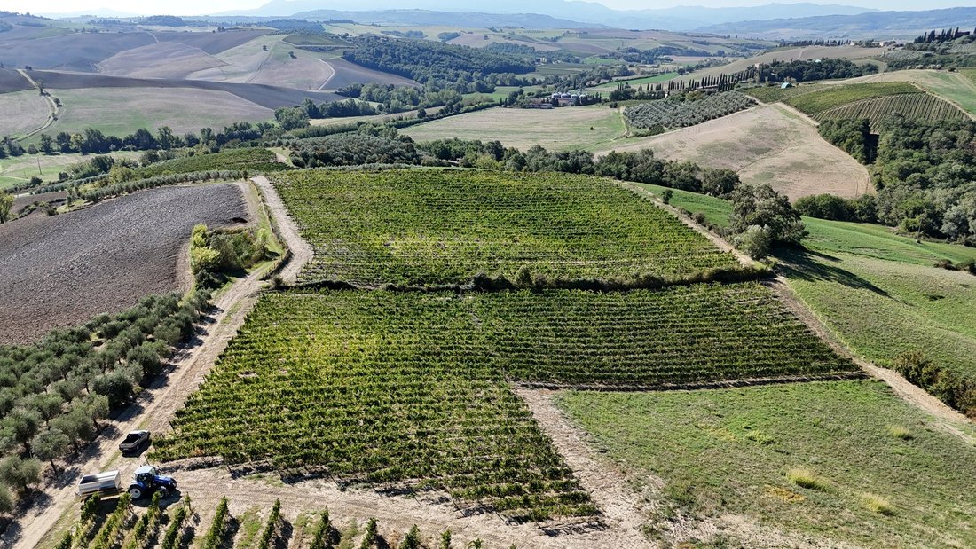 Farm Ranch in San Giovanni d'Asso, Tuscany, Italy 3 - 18961142