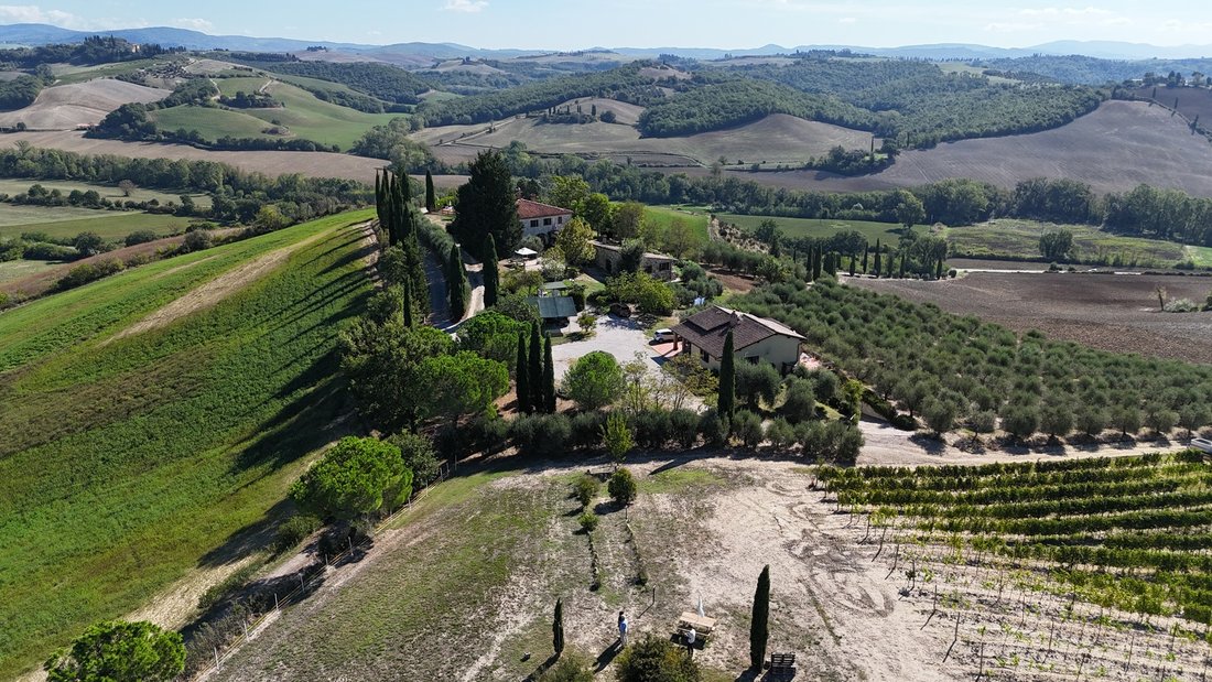 Farm Ranch in San Giovanni d'Asso, Tuscany, Italy 1 - 18961142