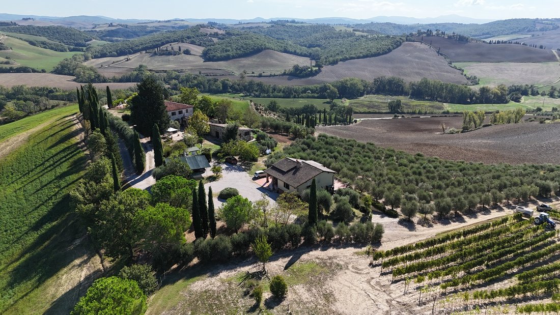 Estate in San Giovanni d'Asso, Tuscany, Italy 1 - 18961386