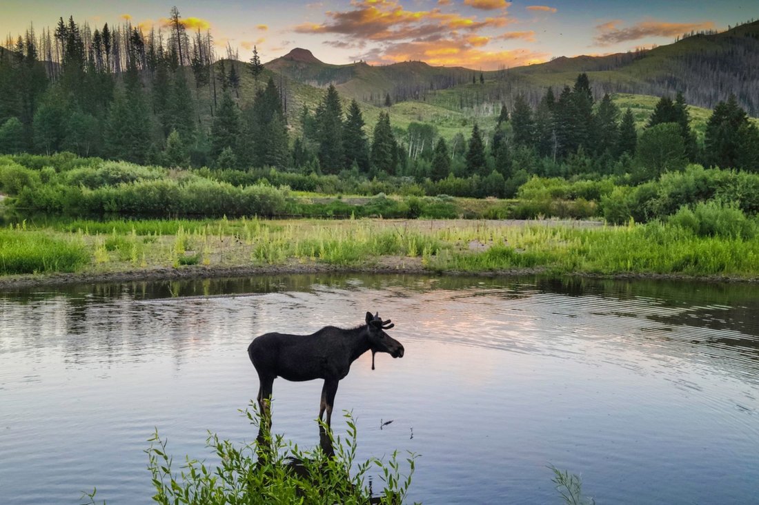 Land in Ketchum, Idaho, United States 2 - 18961822