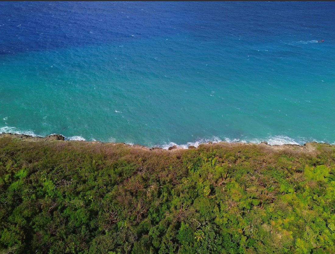 Land in Cousins Cove, Hanover Parish, Jamaica 4 - 18967009
