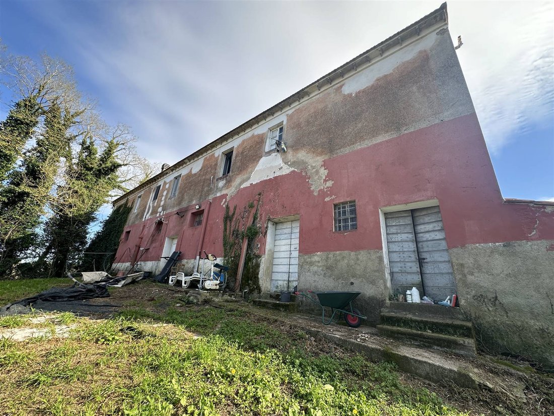 Estate in Fauglia, Tuscany, Italy 3 - 18977579