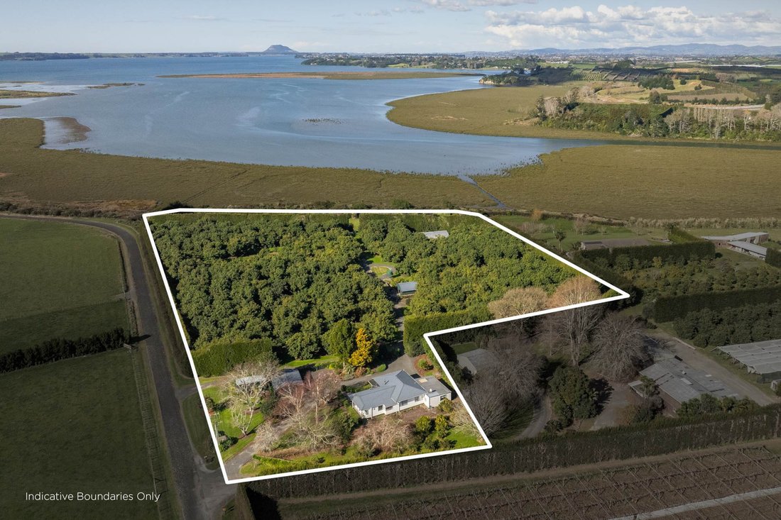 House in Aongatete, Bay of Plenty, New Zealand 1 - 18397890