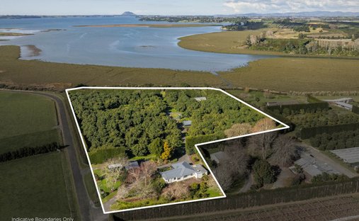 House in Aongatete, Bay of Plenty, New Zealand 1