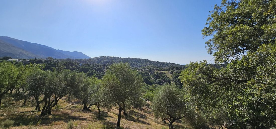 Land in Casares, Andalusia, Spain 2 - 18980636