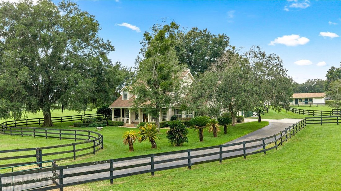 Farm Ranch in Ocala, Florida, United States 1 - 18980383