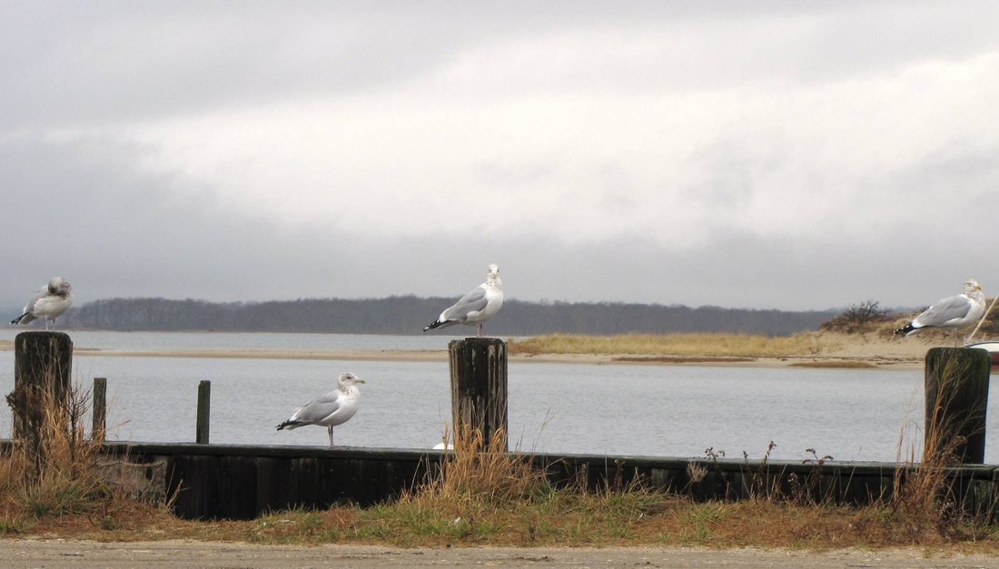 Land in East Hampton, New York, United States 5 - 18981380