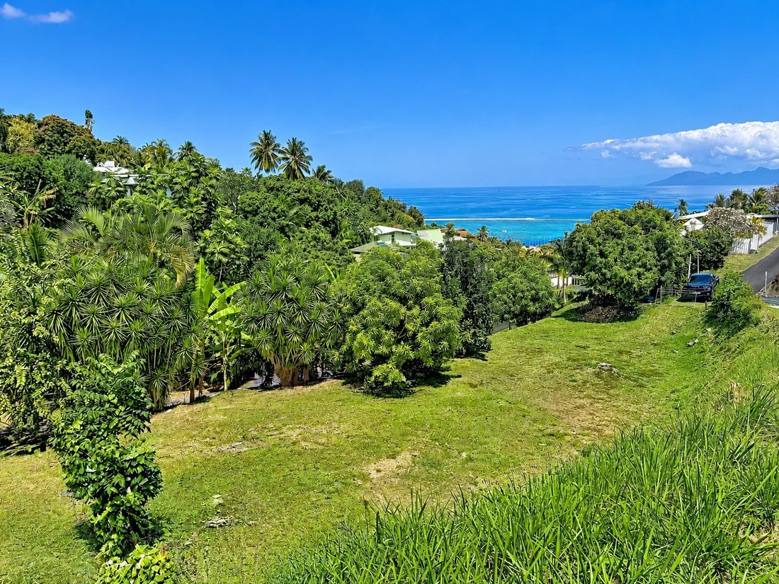 Land in Puna'auia, Windward Islands, French Polynesia 1 - 18973043