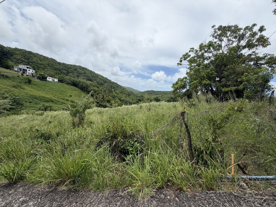 Land in Rivière-Salée, Le Marin, Martinique 5 - 18973030