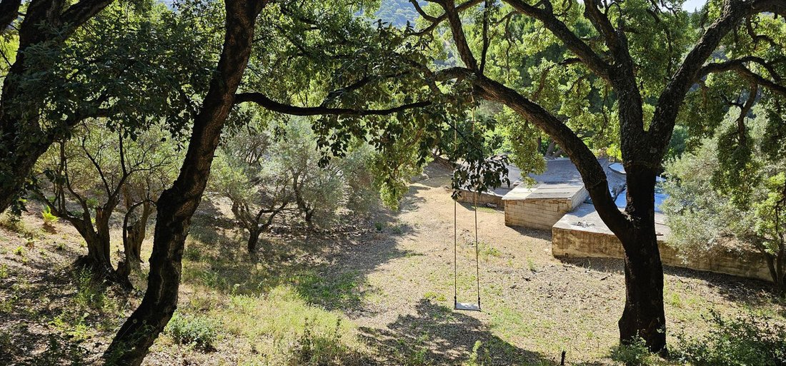 Land in Casares, Andalusia, Spain 5 - 18980636