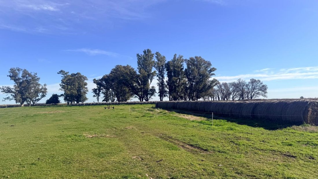 Land in Carlos Salas, Buenos Aires Province, Argentina 4 - 18981193