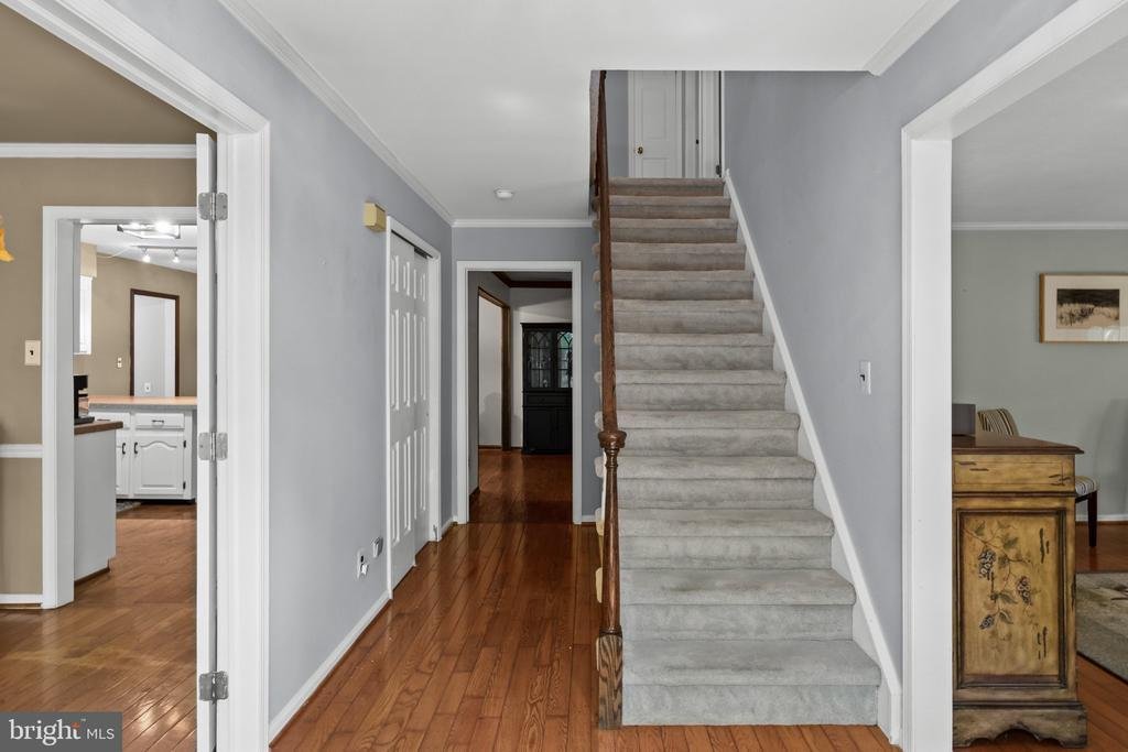 House in Medford Lakes, New Jersey, United States 5 - 18969607