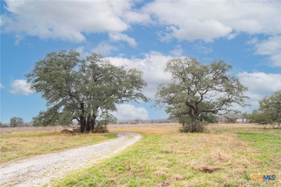 Seguin, Texas, United States 5 - 18969419