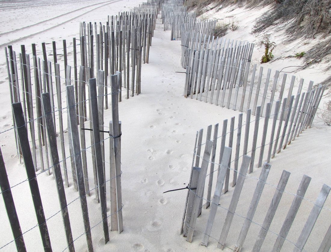 Land in East Hampton, New York, United States 4 - 18981380