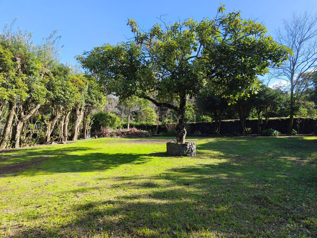 Villa en Capelas, Azores, Portugal 4 - 16635354