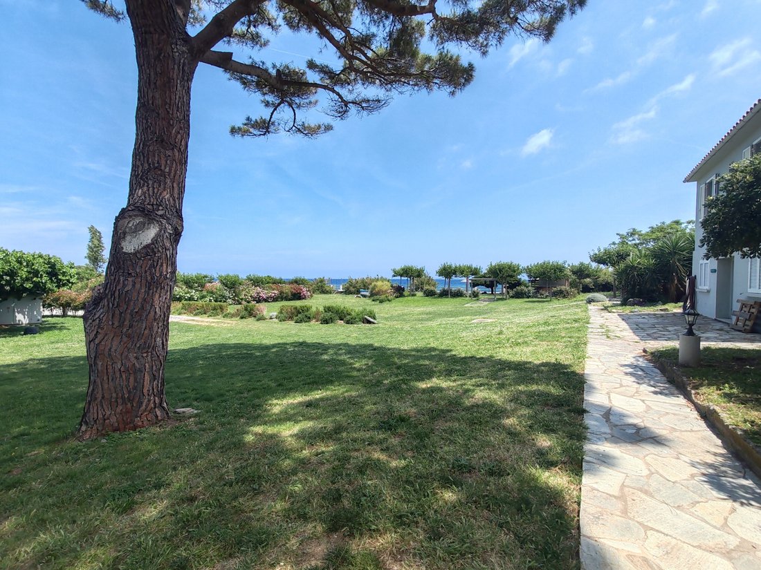 Estate in Sisco, Corsica, France 5 - 18981523