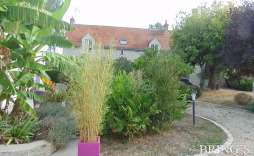 House in Verneuil-le-Château, Centre-Val de Loire, France 1