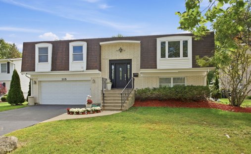 House in Palatine, Illinois, United States 1