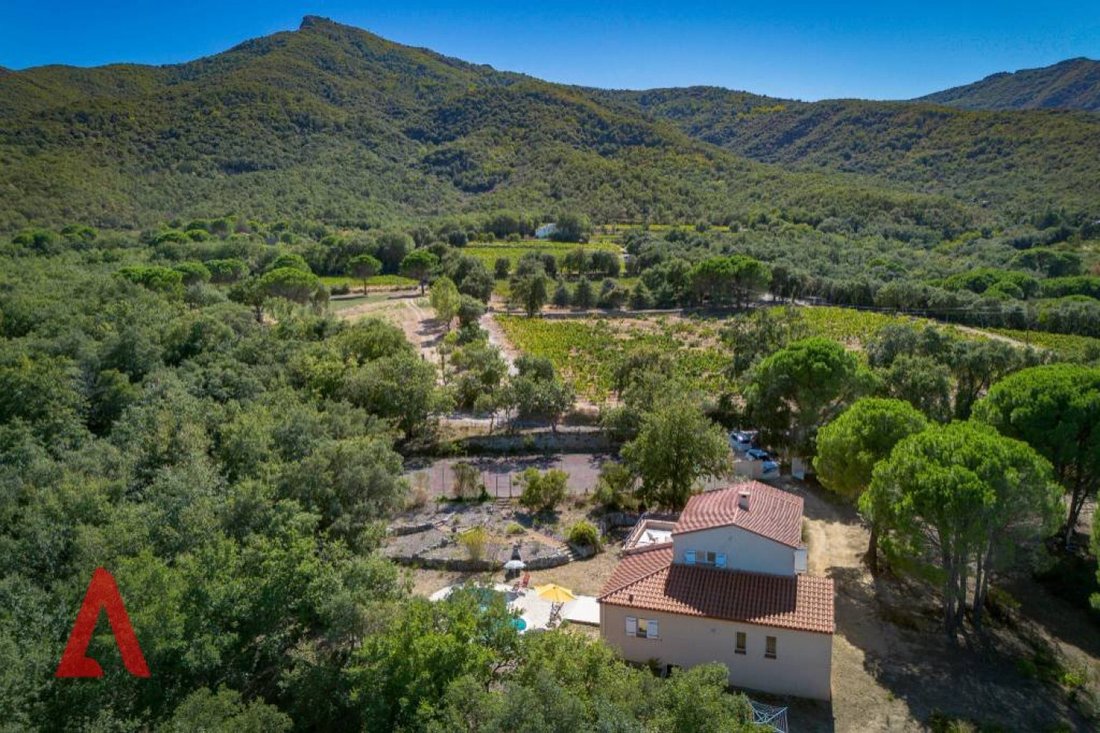 Villa in Laroque-des-Albères, Occitania, France 2 - 18970688