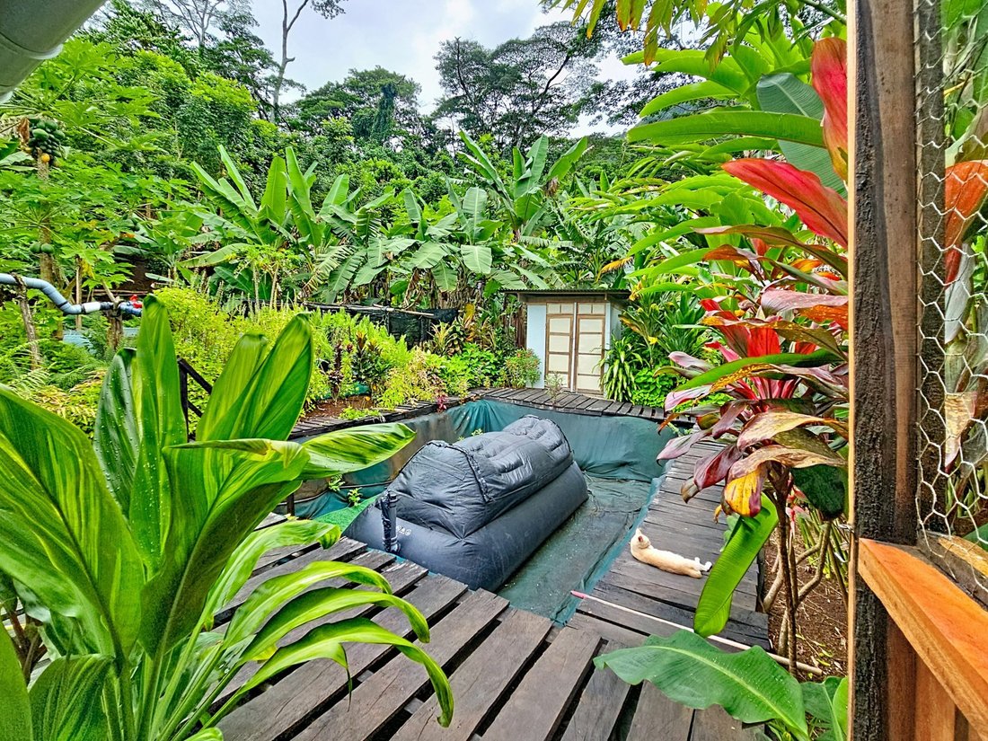 Farm Ranch in Moorea-Maiao, Windward Islands, French Polynesia 5 - 16942031
