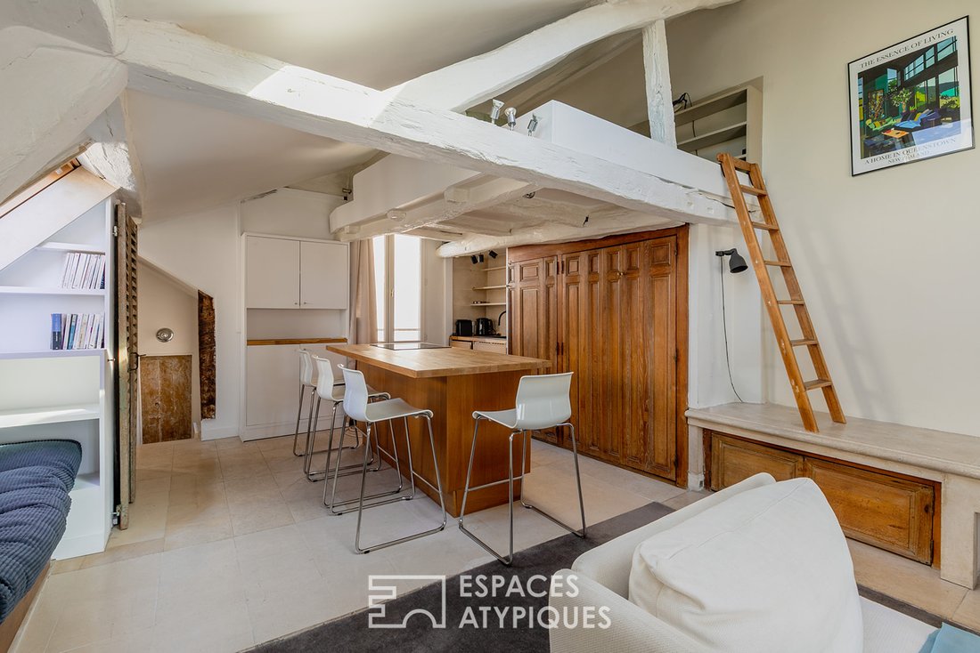 Apartment in Monnaie, Paris 6e Arrondissement, Paris 2 - 18972383
