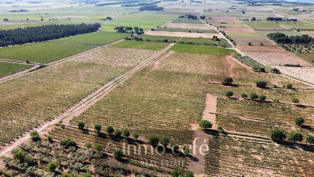 Otros en Fontanares, Comunidad Valenciana, España 5 - 18028073