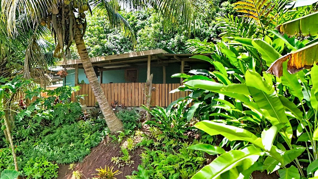 Farm Ranch in Moorea-Maiao, Windward Islands, French Polynesia 1 - 16942031