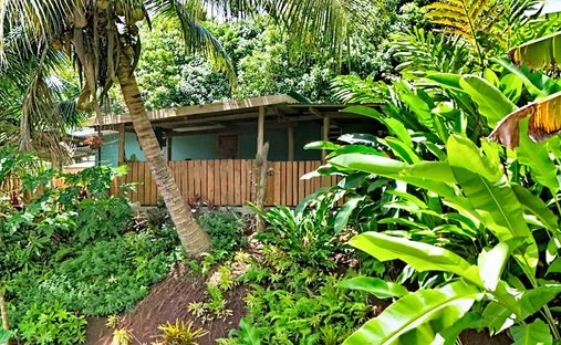 Farm Ranch in Moorea-Maiao, Windward Islands, French Polynesia 1