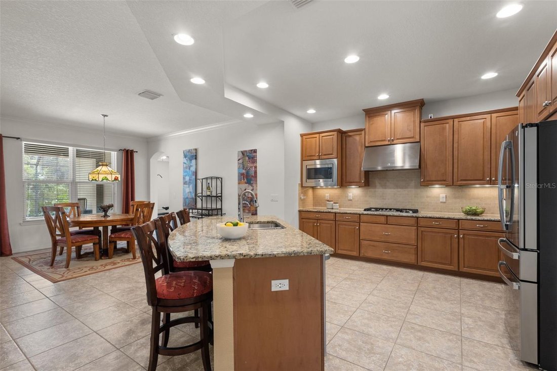 House in Wesley Chapel, Florida, United States 4 - 18964903