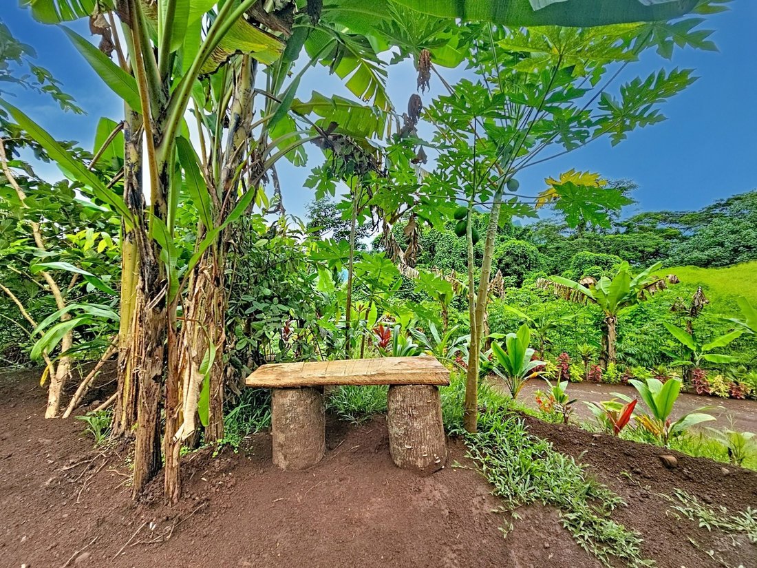 Farm Ranch in Moorea-Maiao, Windward Islands, French Polynesia 3 - 16942031