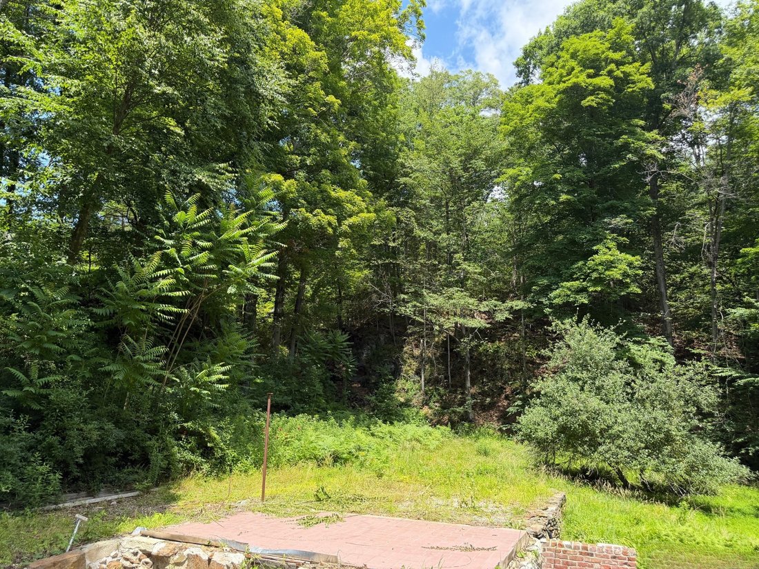 Washington, Connecticut, United States 5 - 18973382