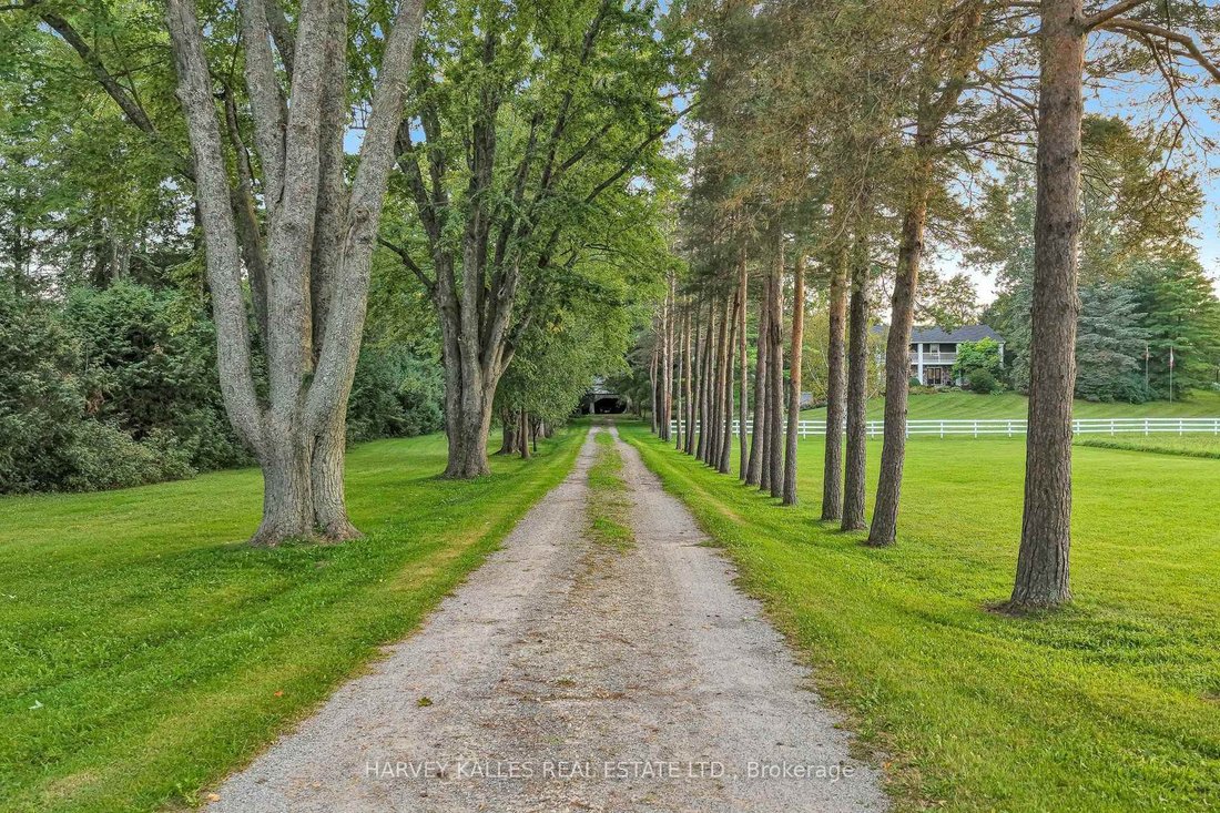 House in Halton Hills, Ontario, Canada 3 - 18972683