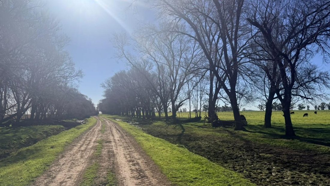 Land in Carlos Salas, Buenos Aires Province, Argentina 2 - 18981193