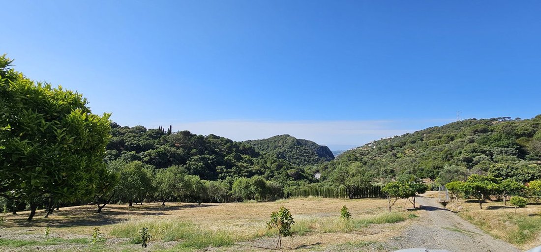 Land in Casares, Andalusia, Spain 1 - 18980636