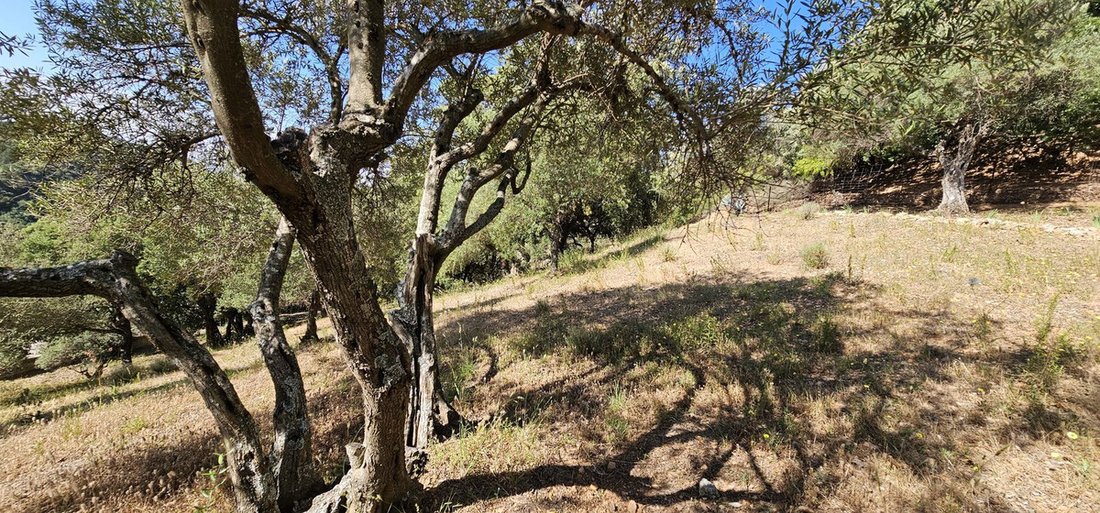 Land in Casares, Andalusia, Spain 4 - 18980636