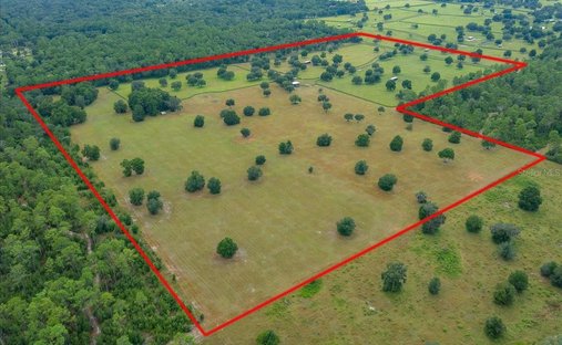 Land in Ocala, Florida, United States 1