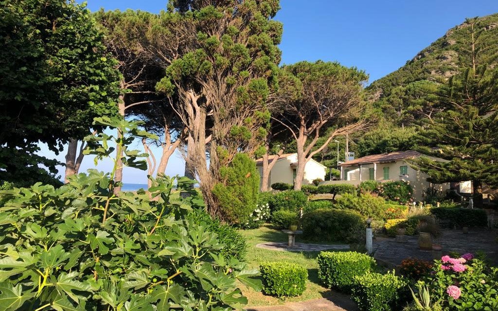 Estate in Sisco, Corsica, France 3 - 18981523