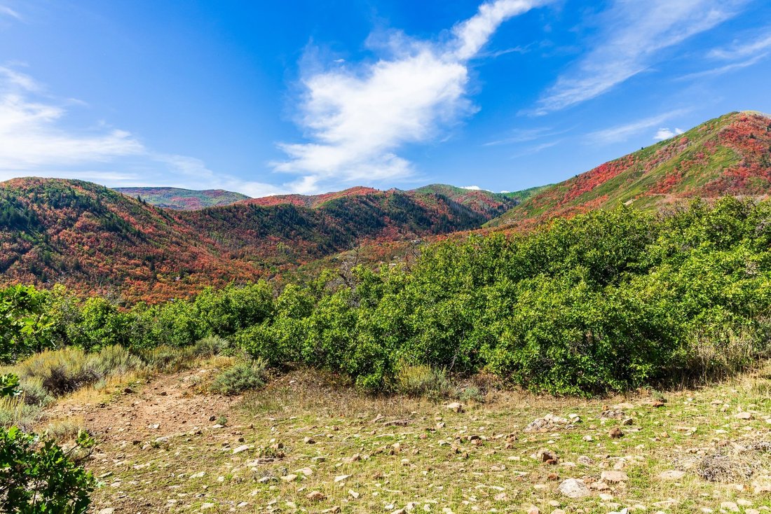 Land in Midway, Utah, United States 1 - 18974403