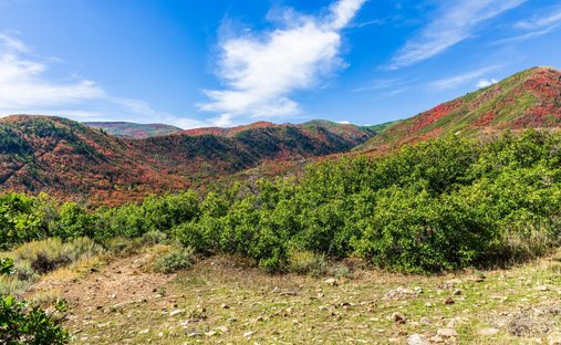 Land in Midway, Utah, United States 1