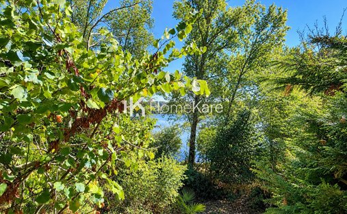 House in Arrondissement of Muret, Occitania, France 1