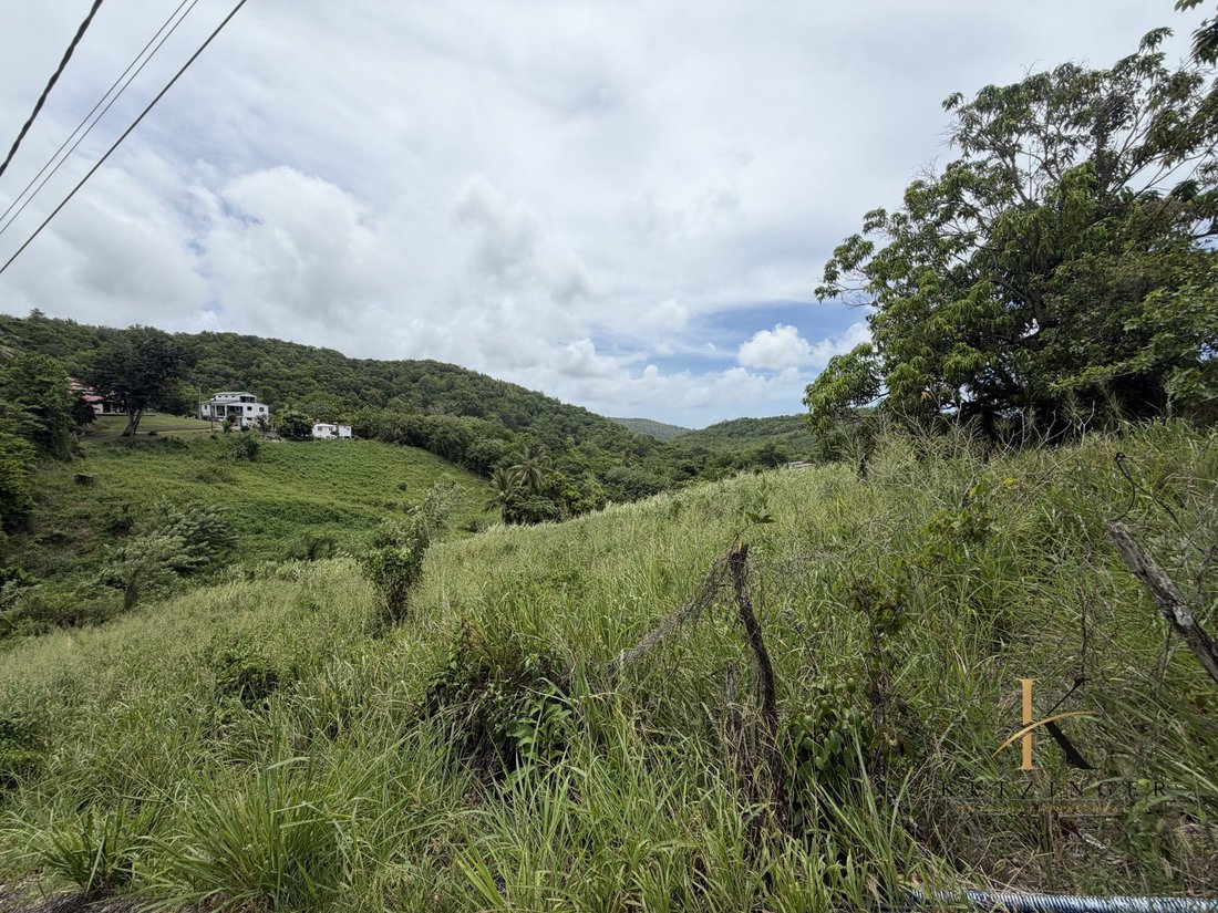 Terrain à Rivière-Salée, Le Marin, Martinique 4 - 18973030