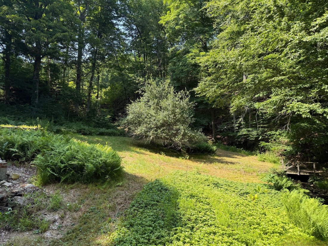 Washington, Connecticut, United States 3 - 18973382