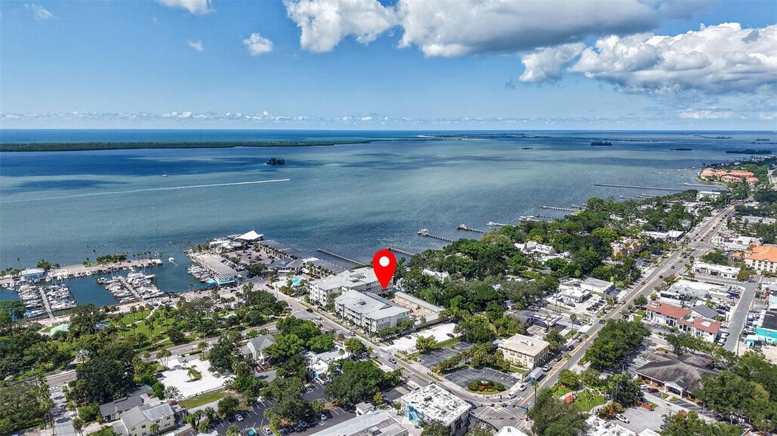Condo in Dunedin, Florida, United States 4 - 18968999