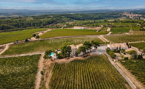 Farm Ranch in Minerve, Occitania, France 1