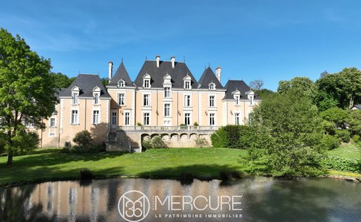 Castle in Poitiers, Nouvelle-Aquitaine, France 1