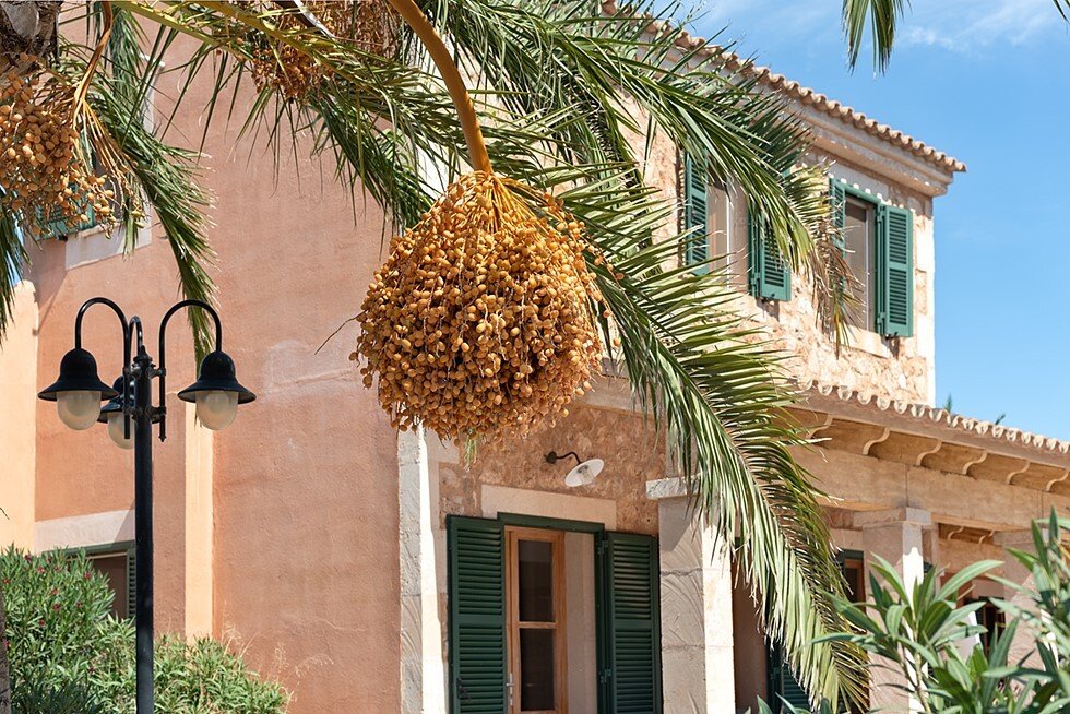 Landhaus in Campos, Balearische Inseln, Spanien 2 - 18966432