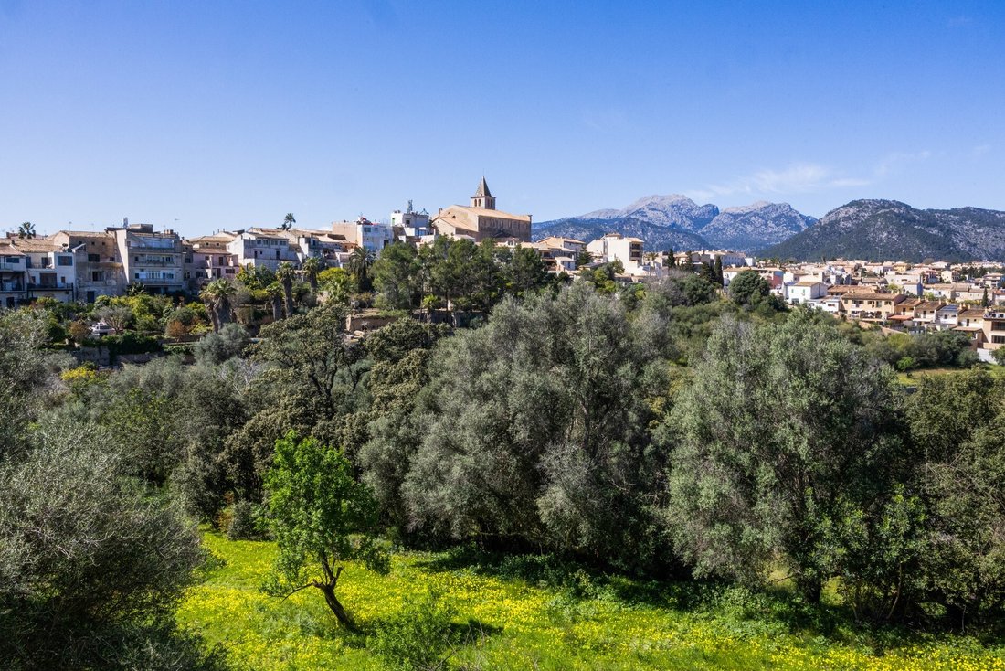 Country House in Selva, Balearic Islands, Spain 2 - 17832426