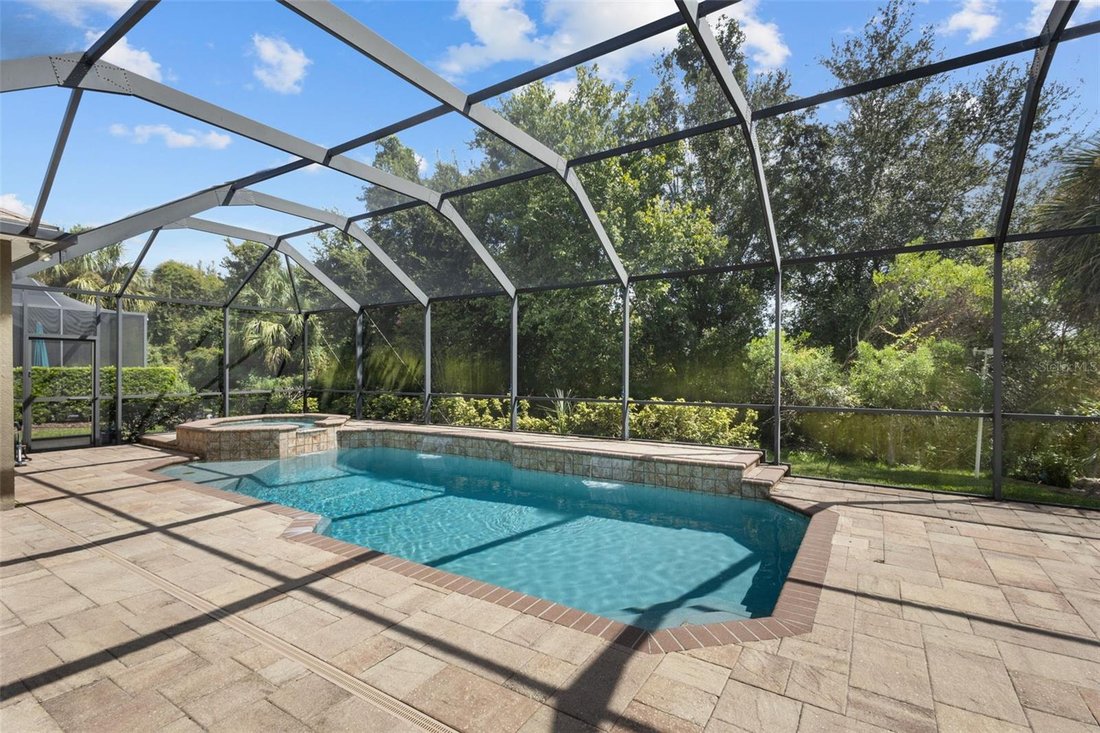 House in Wesley Chapel, Florida, United States 2 - 18964903